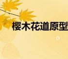 櫻木花道原型人物車禍（櫻木花道原型）