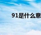 91是什么意思軟件（91是什么意思）