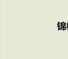 錦標(biāo)賽是什么意思