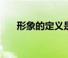 形象的定義是什么意思（形象的定義）