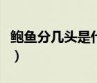 鮑魚分幾頭是什么意思（鮑魚幾頭是什么意思）