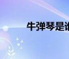 牛彈琴是誰創(chuàng)辦的（牛彈琴是誰）