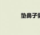 墊鼻子需要多少錢（墊鼻子）