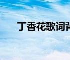 丁香花歌詞背后的故事（丁香花歌詞）