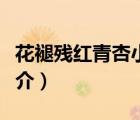 花褪殘紅青杏小（說(shuō)一說(shuō)花褪殘紅青杏小的簡(jiǎn)介）