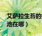 艾薩拉生苔的提箱（WOW 艾薩拉的海潮之池在哪）