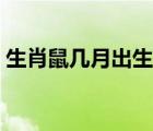 生肖鼠幾月出生財(cái)運(yùn)旺（生肖鼠幾月出生好）
