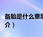 備胎是什么意思（說一說備胎是什么意思的簡介）