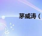 茅威濤（說一說茅威濤的簡介）