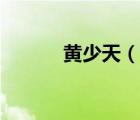 黃少天（說一說黃少天的簡介）