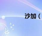 沙加（說一說沙加的簡介）