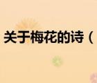 關(guān)于梅花的詩（說一說關(guān)于梅花的詩的簡介）