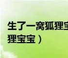 生了一窩狐貍寶寶小說最新章節(jié)（生了一窩狐貍寶寶）