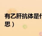 有乙肝抗體是什么意思（乙肝抗體陽(yáng)性什么意思）