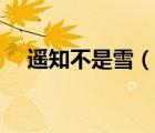 遙知不是雪（說一說遙知不是雪的簡介）