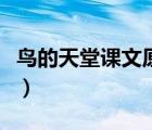 鳥(niǎo)的天堂課文原文第六段（鳥(niǎo)的天堂課文原文）