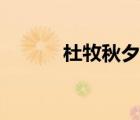 杜牧秋夕的詩(shī)意（秋夕的詩(shī)意）