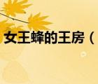 女王蜂的王房（說一說女王蜂的王房的簡介）
