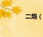 二炮（說一說二炮的簡介）