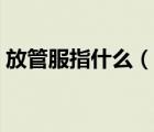 放管服指什么（說一說放管服指什么的簡介）