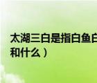 太湖三白是指白魚白蝦和白什么（太湖三白指的是白魚白蝦和什么）