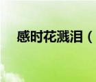 感時(shí)花濺淚（說一說感時(shí)花濺淚的簡(jiǎn)介）