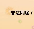 非法同居（說一說非法同居的簡(jiǎn)介）
