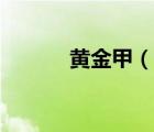 黃金甲（說一說黃金甲的簡介）