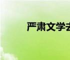 嚴(yán)肅文學(xué)去哪里投稿（嚴(yán)肅文學(xué)）