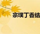 宗璞丁香結(jié)寫作背景（宗璞丁香結(jié)）