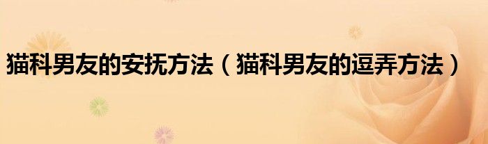貓科男友的安撫方法（貓科男友的逗弄方法）