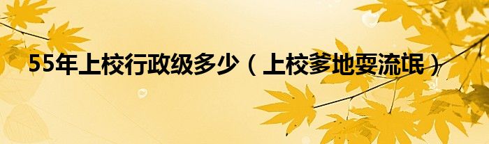 55年上校行政級多少（上校爹地耍流氓）