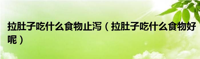 拉肚子吃什么食物止瀉（拉肚子吃什么食物好呢）