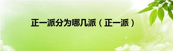 正一派分為哪幾派（正一派）