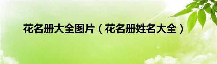 花名冊大全圖片（花名冊姓名大全）