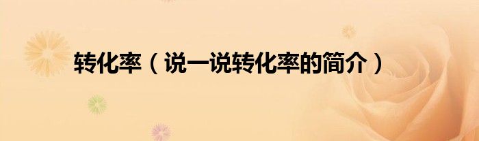 轉(zhuǎn)化率（說一說轉(zhuǎn)化率的簡介）