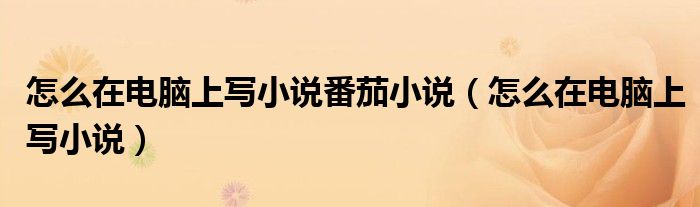 怎么在電腦上寫小說番茄小說（怎么在電腦上寫小說）