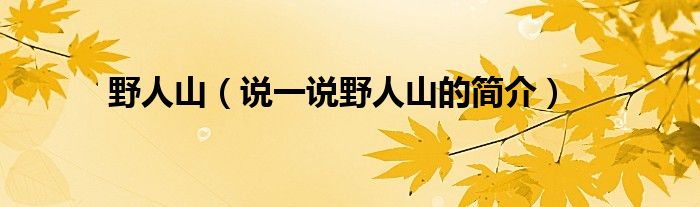 野人山（說一說野人山的簡介）