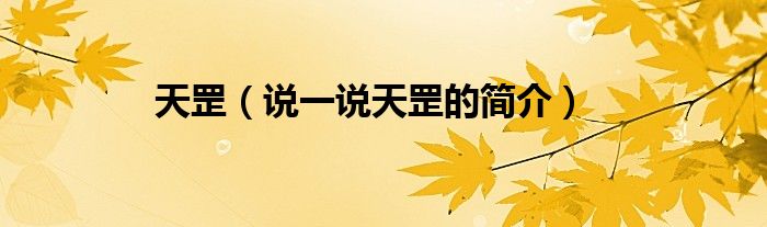 天罡（說一說天罡的簡(jiǎn)介）