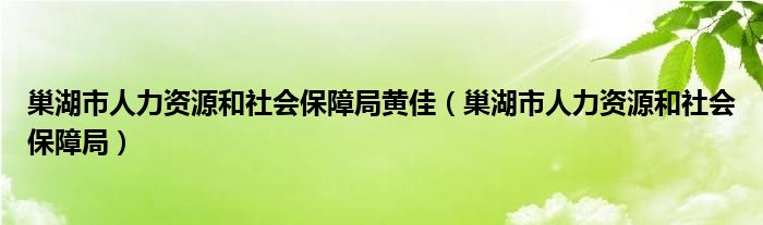 巢湖市人力資源和社會保障局黃佳（巢湖市人力資源和社會保障局）