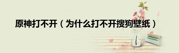 原神打不開（為什么打不開搜狗壁紙）