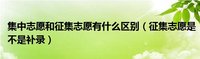 集中志愿和征集志愿有什么區(qū)別（征集志愿是不是補錄）