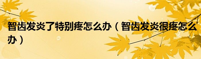 智齒發(fā)炎了特別疼怎么辦（智齒發(fā)炎很疼怎么辦）