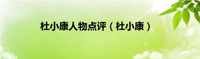 杜小康人物點(diǎn)評（杜小康）