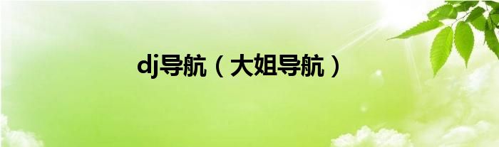 dj導航（大姐導航）