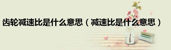 齒輪減速比是什么意思（減速比是什么意思）