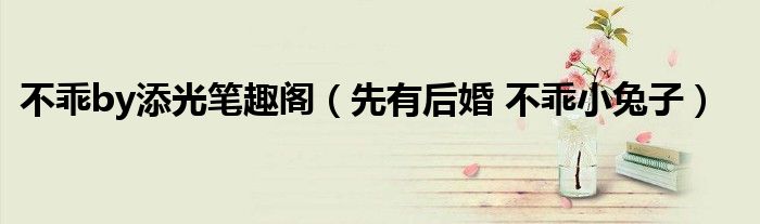 不乖by添光筆趣閣（先有后婚 不乖小兔子）