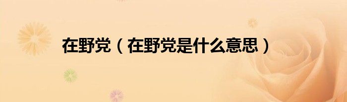 在野黨（在野黨是什么意思）