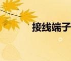 接線端子類(lèi)別（接線端子分類(lèi)）