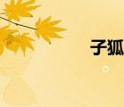 子狐物語電影（子狐）